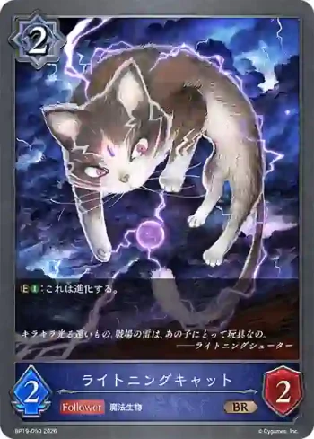 BP19-050 BR ライトニングキャット
