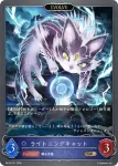 BP19-052 BR 景観の魔導師