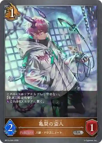 BP19-066 SR 亀裂の盗人