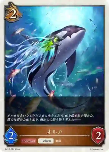 BP19-T06 - オルカ