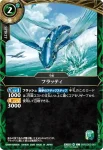 26RSD03-001 C フラッティ(入門牌組限定交流會收錄/2026年度版)