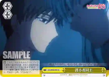 CCS/W66-025 CC 護る者同士