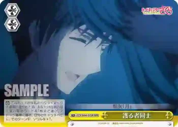 CCS/W66-025R RRR 護る者同士