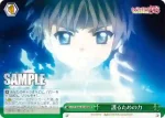 CCS/W66-052 CC 穏やかなひと時