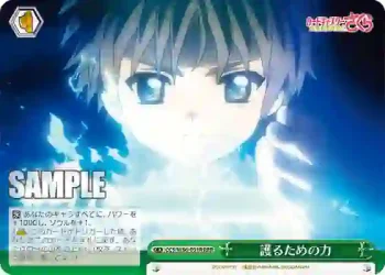 CCS/W66-051R RRR 護るための力