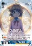 CCS/W66-078 R “良き助言者”月