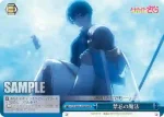 CCS/W66-099 CC 禁忌の魔法