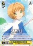 CCS/W66-102 PR “レインコート”木之本桜
