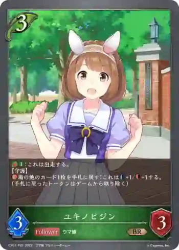 CP01-P07 BR・プレミアム ユキノビジン