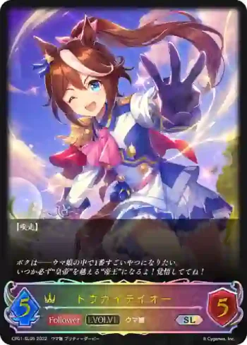 CP01-SL05 SL トウカイテイオー