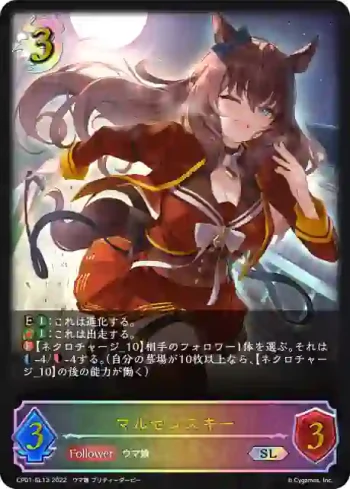 CP01-SL13 SL マルゼンスキー