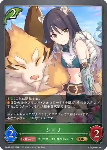 CP04-005 GR シオリ