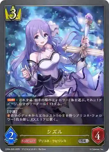 CP04-029 SR シズル