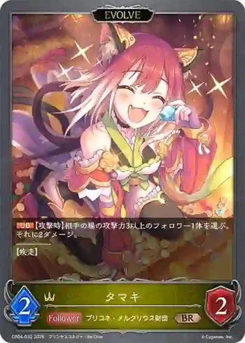 CP04-032 BR タマキ
