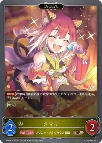 CP04-P24 BR・プレミアム タマキ