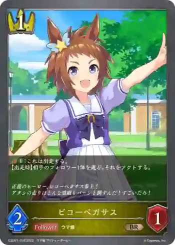 CSD01-018 BR ビコーペガサス