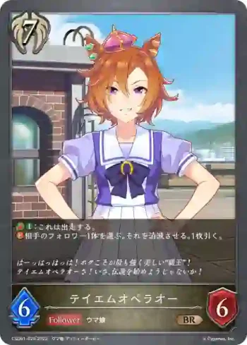 CSD01-029 BR テイエムオペラオー