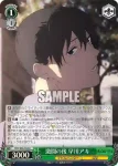 CSM/S96-042 U 激闘の後 早川アキ
