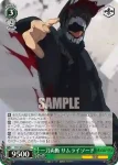 CSM/S96-042 U 激闘の後 早川アキ