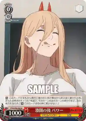 CSM/S96-062 U 激闘の後 パワー