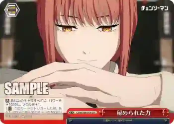 CSM/S96-076 CR 秘められた力