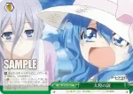 DAL/W79-049 CC 超天才の謝罪