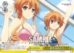 DAL/W99-024 CC “【天を駆ける者】”