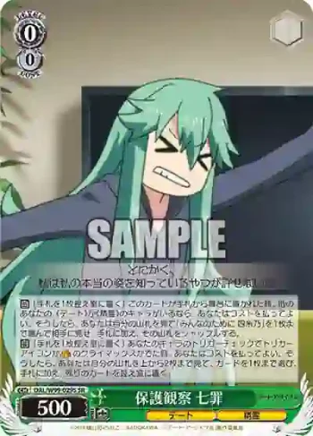 DAL/W99-029S SR 保護観察 七罪