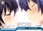 DAL/W99-098 CR 恋の存在証明