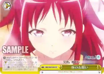 DBG/W87-024 CC 妹のお願い
