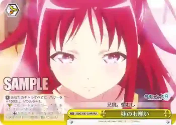 DBG/W87-024R RRR 妹のお願い