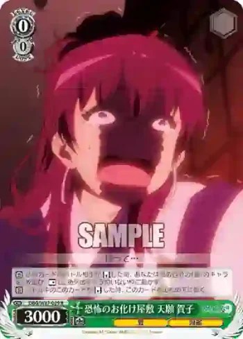 DBG/W87-029 R 恐怖のお化け屋敷 天願 賀子