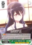 DBG/W87-036 U 雨の逃避行 成神 陽太