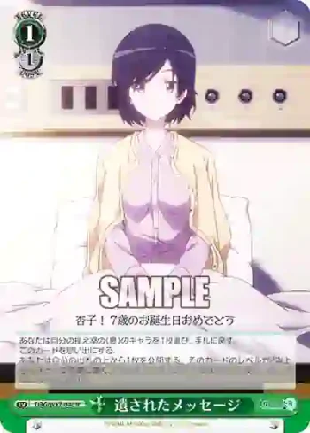 DBG/W87-046 R 遺されたメッセージ