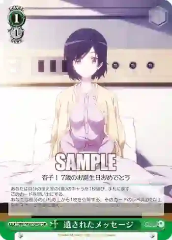 DBG/W87-046S SR 遺されたメッセージ