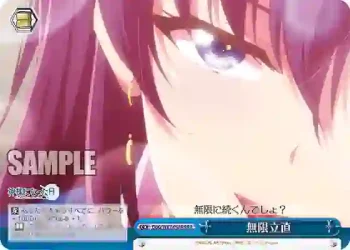 DBG/W87-098R RRR 無限立直