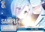 DC4/W81-P05 PR とろける笑顔 有里栖