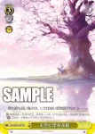 DS/W81-097 RR 賑やかな朝 ひまり