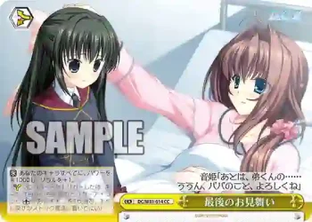 DC/W81-014 CC 最後のお見舞い