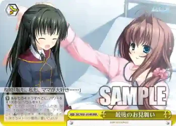 DC/W81-014R RRR 最後のお見舞い