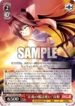 DC/W81-025 R “正義の魔法使い”音姫