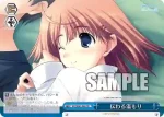 (簽名)DC/W81-040SP SP 伝わる温もり