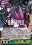 DCT/S86-024 RR 本当の強さ 愛莉