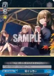 DCT/S86-095 C 復讐のため える