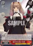 DCT/S86-102 PR クールビューティー 愛莉