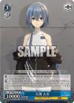 DCT/S86-T17 TD 天海 える