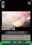 (簽名)DDD/S118-041SP SP 優しい世界へ