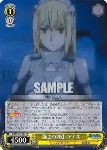 DDM/S88-002 RR 強さの理由 アイズ