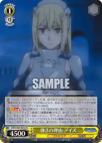 DDM/S88-002S SR 強さの理由 アイズ