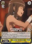 DDM/S88-005 R 勝利の宴 ティオナ